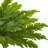 15 " H Faux Fern Plant