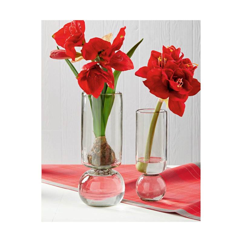 Vase en verre recyclé Amaryllis, H 11,5 po x l 4 po x P 4 po