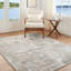 Claudia Oriental Area Rug-908074896