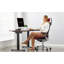 Chaise de bureau Tacroney-70377259