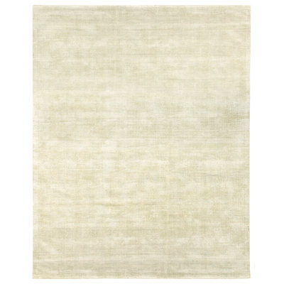 Modernist Viscose Indoor Rug