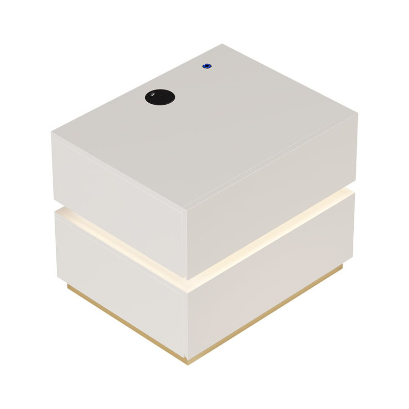 Davaun Modern Smart 2-Drawer LED Bedside Table With Wireless Charging Station, White