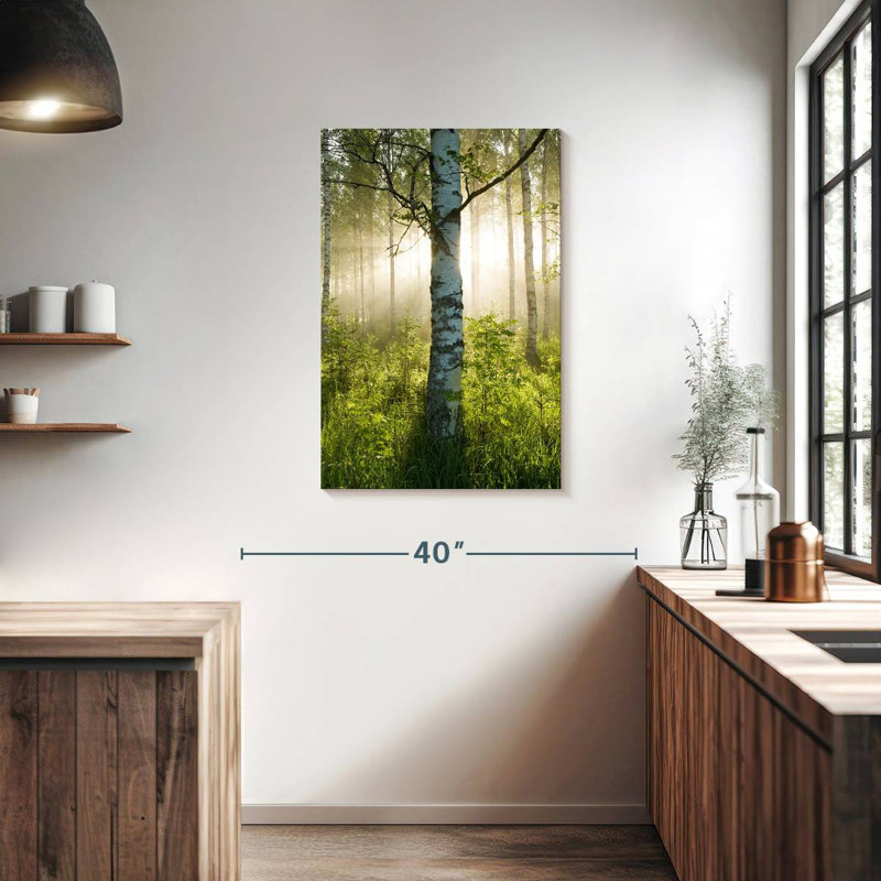 Harnek Sunlit Birch Tree, 36" H x 24" W