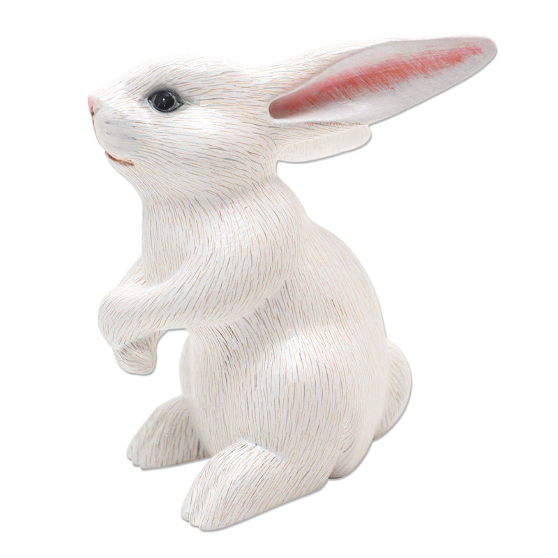Adorable lapin Brazell, Blanc