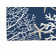 Coral & Seahorse Outdoor Rug