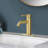Single Handle Bathroom Faucet Lavatory Faucet Stainless Steel Single Hole-T10, Brushed Gold-118610638