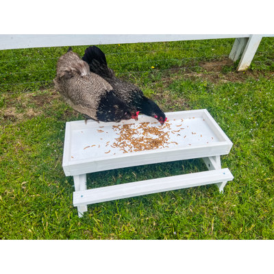 Rekan Chicken Toy