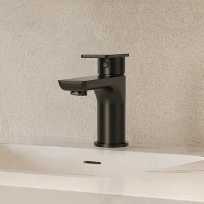 Single Hole Bathroom Faucet with Drain Assembly, Single Handle Bathroom Sink Faucet 