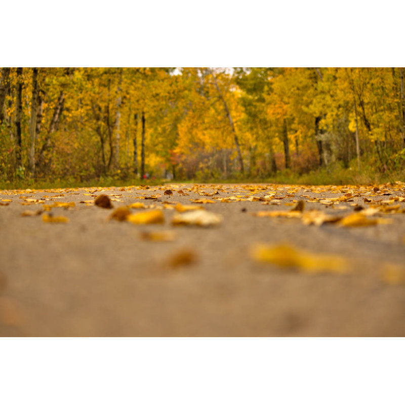 Décalcomanie murale route d’automne, 24 po x 36 po