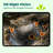 Birdfy Smart Bird Houses for Outside Solar Powered, 1080P HD Live View Bird House with Camera, Perfect Viewing Bird Nesting and Hatching, Bird Feeder with Camera for Most Birds