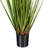 24" Artificial Potted Green/Burgundy Flax Grass-705607331