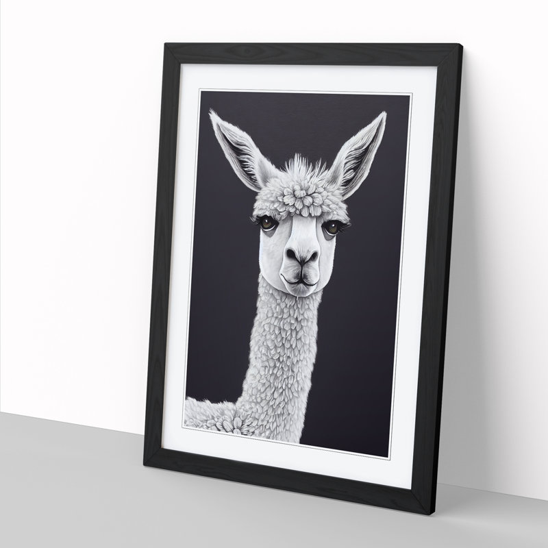 Face Of A Llama Vol.2 - Single Picture Frame Print, 64cm H x 46cm W x 2cm D, Black