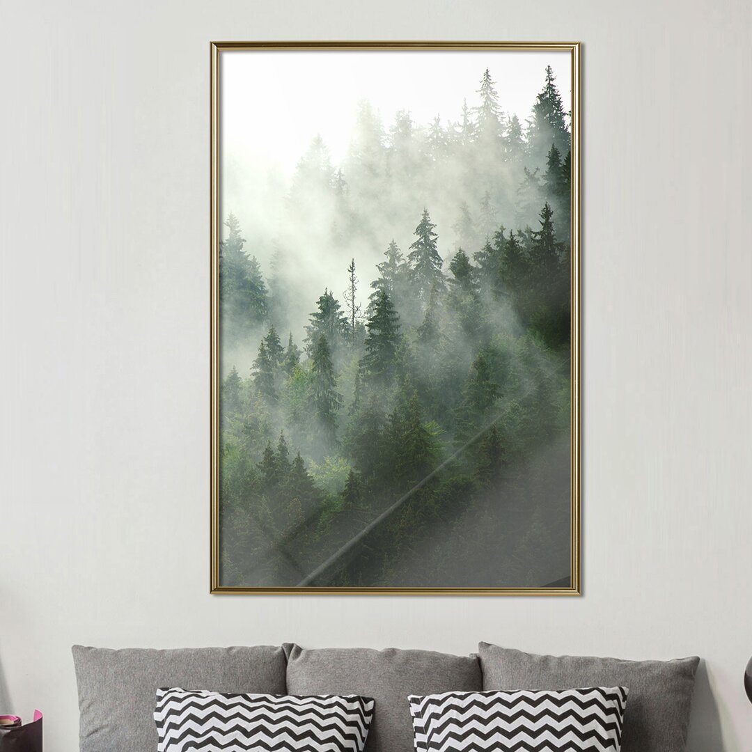 Gerahmtes Poster Steaming Forest