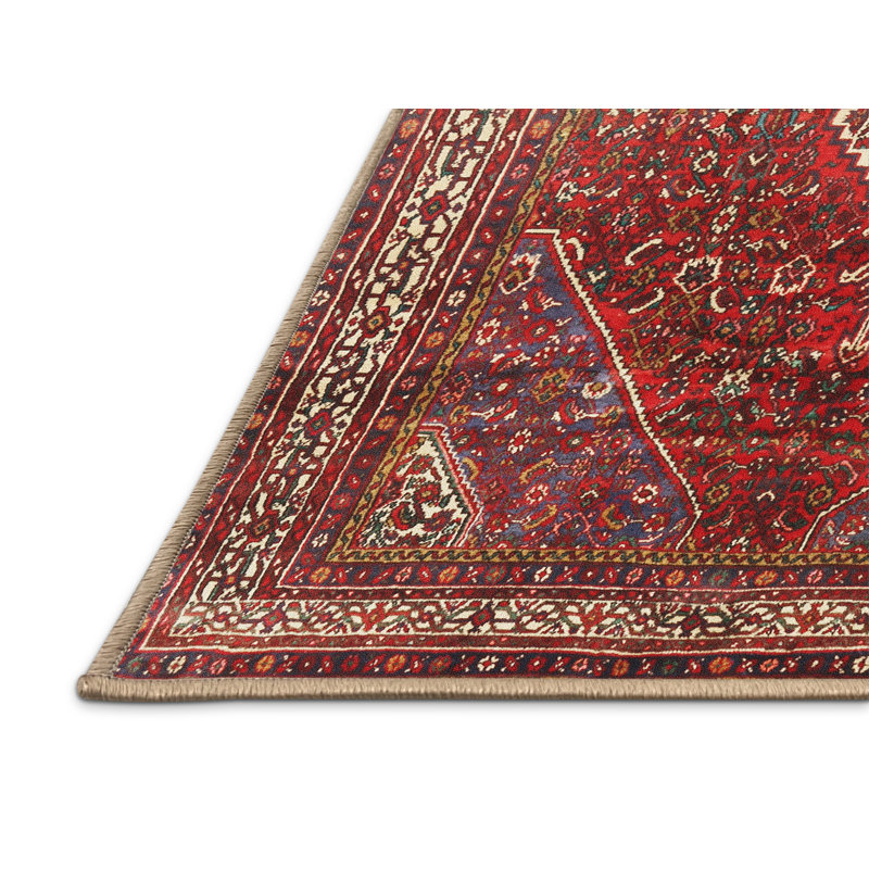 Oriental Indoor Rug, Rectangle 8' x 10'