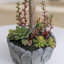 Yucca artificiel 32 po avec mousse artificielle et sous-bois 32 po Real Touch, parfait pour les décors intérieurs et extérieurs