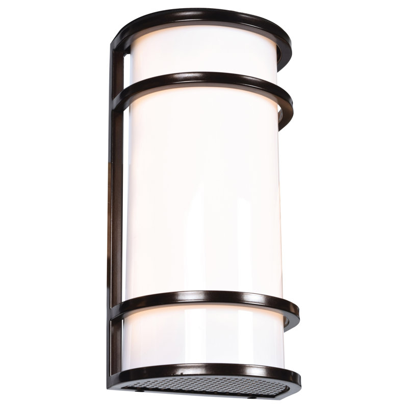 Badina Wall Light, 24" H x 6" W x 4" D, Black