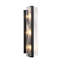 Minka Lavery Cloud Break - 3 Light Wall Sconce In Coal