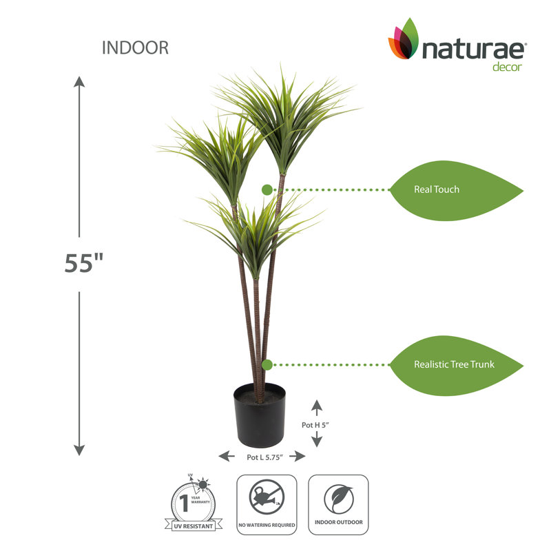 Artificial Dracaena 55-in