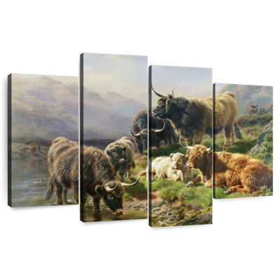 Brampt Highland Cattle