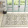 Delyse Oriental Indoor Rug