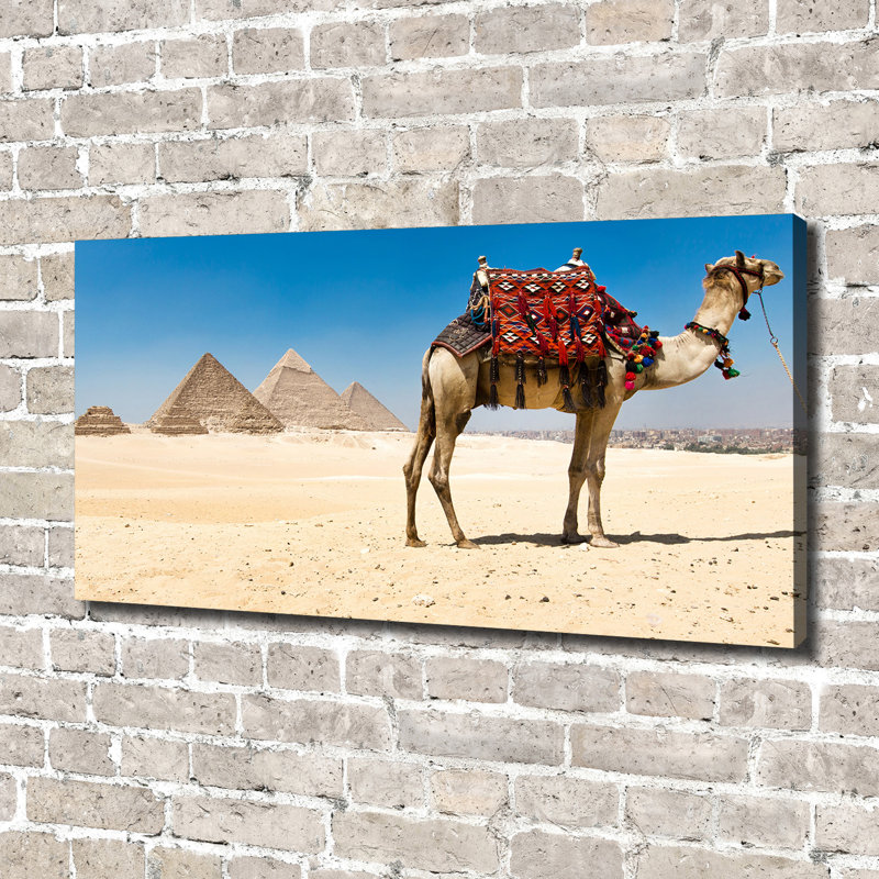 Camel In Cairo - Wrapped Canvas Print