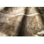 Tapis beige / brun à motif abstrait Hermann-188548999