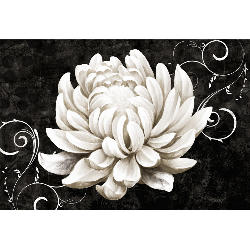 White Flower Giant 3 - Wrapped Canvas Art Prints, 30cm H x 46cm W