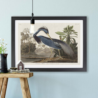 'Louisiana Heron' by John James Audubon - Picture Frame Painting Print on Paper