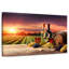 Yarlin Wine Vineyard Vista-108880258