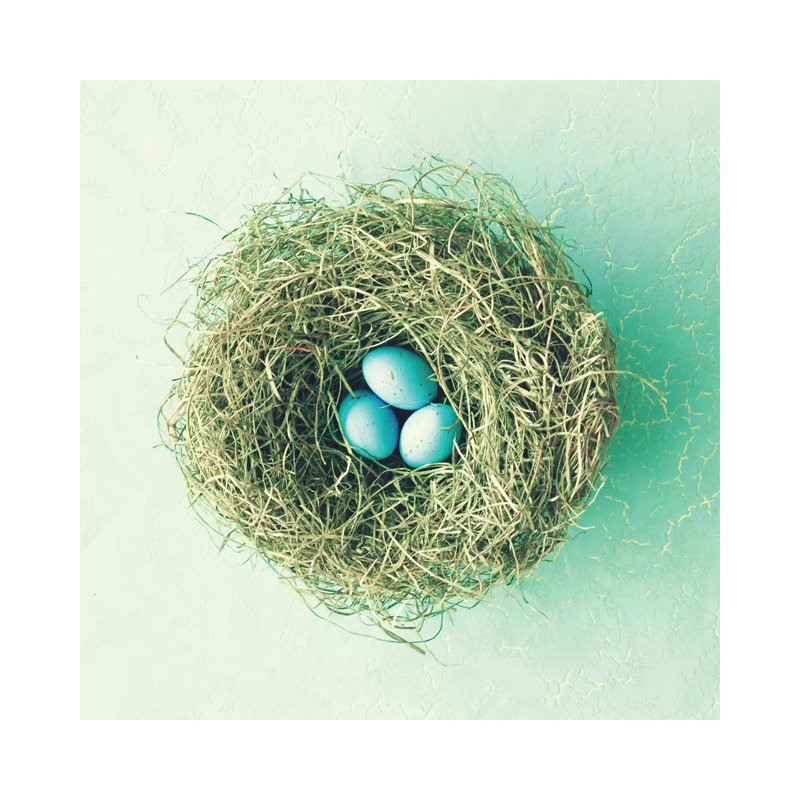Three Little Eggs 1 Piece Wrapped Canvas Painting, 45.72 cm H x 45.72 cm W x 1.91 cm D