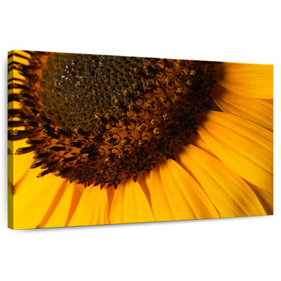 Tournesol Harnek