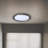 Kinsey Glass LED Flush Mount