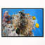 «Coral Scene Panorama», photographie encadrée sur toile-26664571