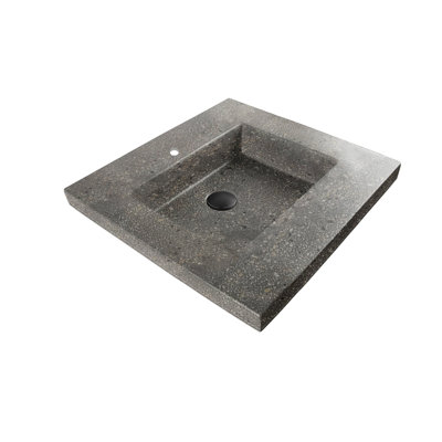 Newterra 24'' L Bathroom Sink