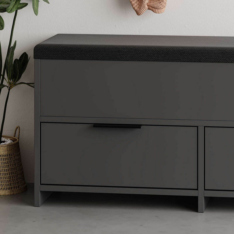Baneen 8 Pair Shoe Storage Cabinet