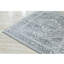 Oriental Indoor Rug