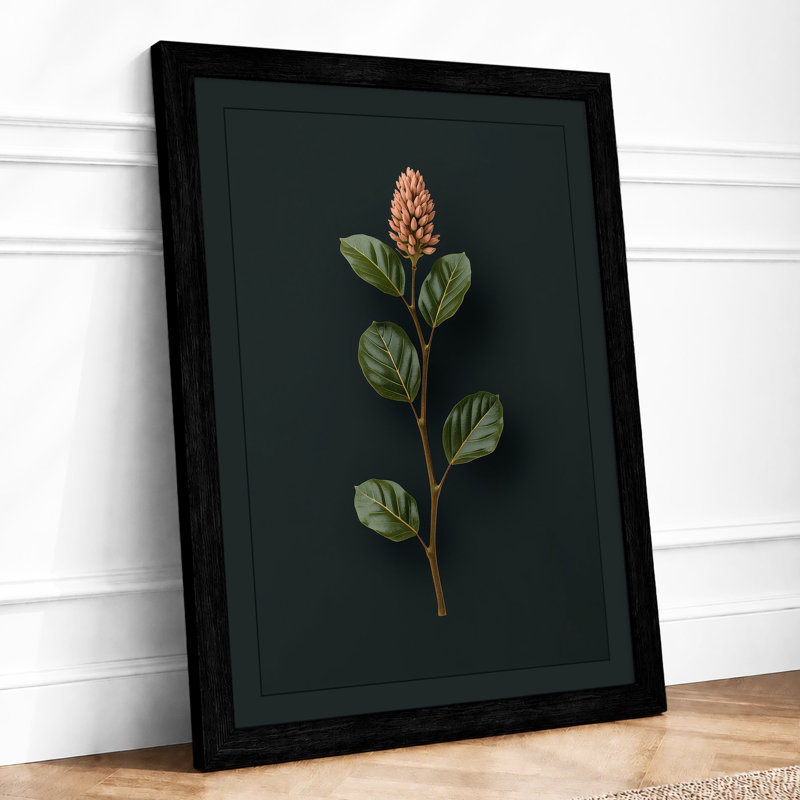 Study In Terracotta Botanical - Print, Black, A4 - 29.7 x 21.0 cm