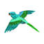Abc Bird by Eric Carle - Painting on Canvas-1861791926