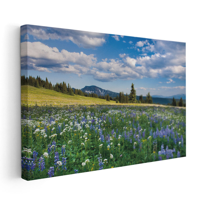 «Trophy Meadows», reproduction d'art sur toile, H 20 po x l 30 po