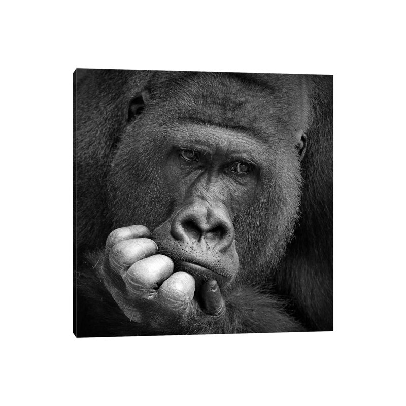 I Had A Dream by Antje Wenner-Braun - Wrapped Canvas Print, 66.04 cm H x 66.04 cm W x 1.91 cm D