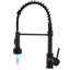 FLG Pull Down Kitchen Faucet