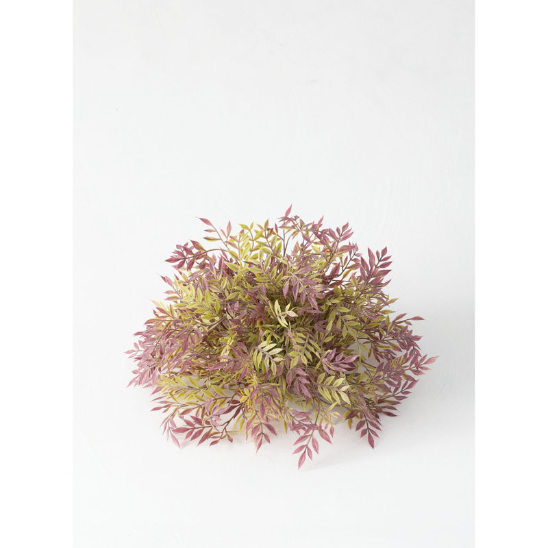 Petite plante à demi-orb wisteria