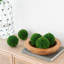 S / 6 D4 "Faux bol de buis en buis, vert