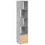 Aviraj 189cm H x 40cm W Bookcase