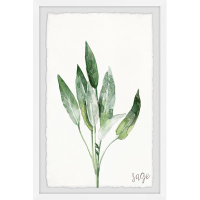 Sage and Rosemary 1 Piece Single Picture Frame Painting