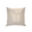 Terra Square Pillow Cover & Insert