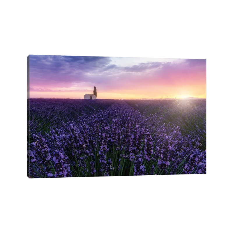 Bees At Sunrise by Fabio Antenore - Print on Canvas, Wrapped Canvas, 152.5 cm H x 101.5 cm W x 3.175 cm D