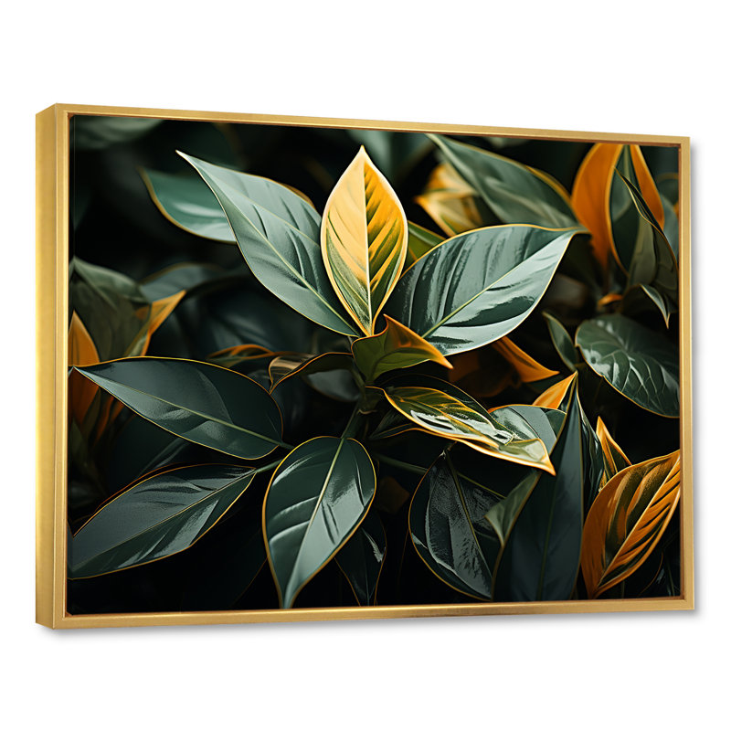 «Garden Plants Botanical Fusion» sur toile, Cadre flottant doré, H 16 po x l 32 po x P 1 po