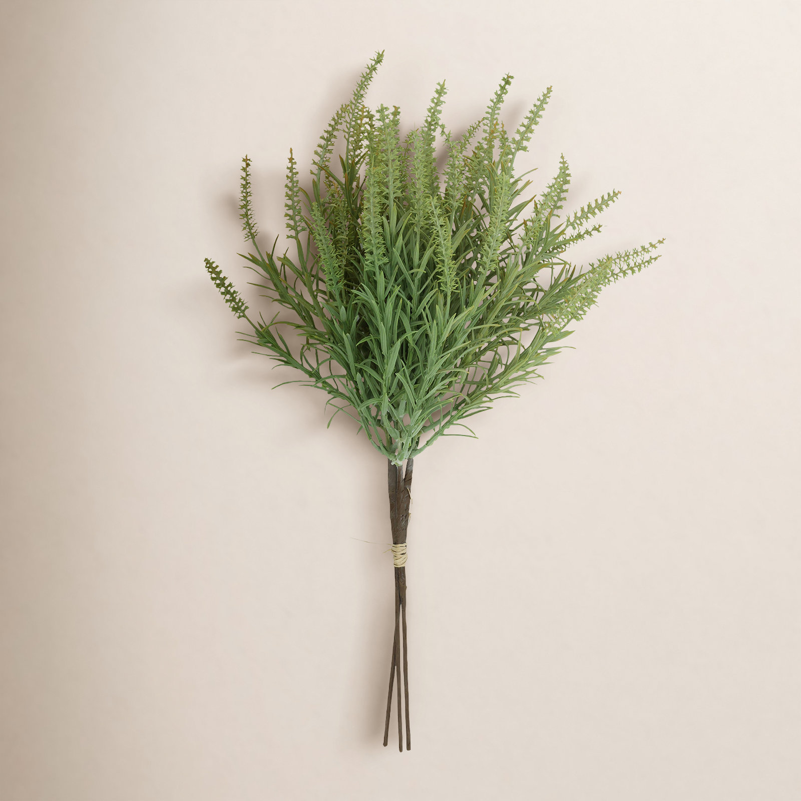 Eula Astilbe Stems, Green