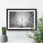 White Peacock Painting - Picture Frame Graphic Art-62765372-62765375